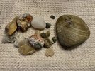 IMG_3175.jpeg
