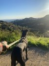 IMG_1409.jpeg