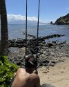 IMG_9515.jpeg