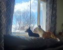 20240210_132043.jpg