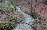 IMG_7246S.JPG