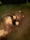 IMG_5341.jpeg