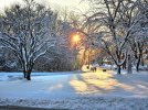 20240215_074235.jpg