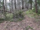 C02E9601-4C1C-41E7-B663-8697F4786E60.jpeg