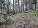 F0FAA2C3-1E99-4D69-9CE3-5C468A4E2EFC.jpeg