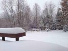 ImageUploadedByTapatalk1388944666.020630.jpg