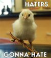 haters-gonna-hate-2.jpg