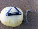 ImageUploadedByTapatalk1389098811.784510.jpg