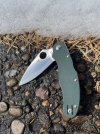 IMG_7199.jpeg