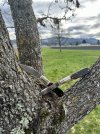 IMG_8810.jpeg