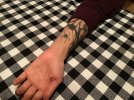 IMG_3720.jpeg