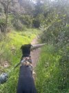 IMG_1468.jpeg