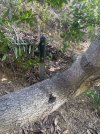 IMG_1467.jpeg