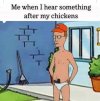 41019.jpeg