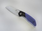 Jarosz Blue 2.jpg