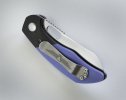 Jarosz Blue 4.jpg Jarosz Blue 4.jpg