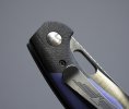 Jarosz Blue 5.jpg Jarosz Blue 5.jpg