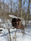 IMG_3166.jpeg