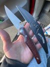 IMG_0010.jpeg