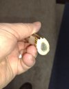 IMG_20240220_185324115.jpg