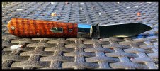 IMG_1771.jpeg