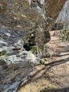 IMG_2148.jpeg