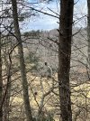 IMG_7949.jpeg