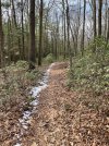 IMG_7259.jpeg