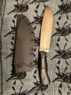 IMG_4700.jpeg