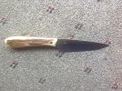 IMG_0395.jpeg