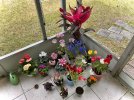 IMG_1448.jpeg