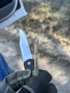 IMG_1570.jpeg