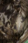 DSC05476.JPG