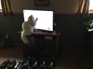 IMG_3728.jpeg