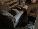 IMG_3722.jpeg