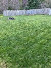 IMG_1046.jpeg