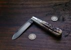 0F1X0345 SH Smaller2.jpg