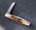 stag53032 5.JPG