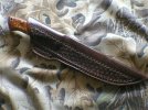 Long-in sheath.jpg