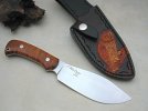 BLS-TIGER MAPLE AND TAWNY OWL 8.JPG