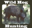 hog-hunting-2.jpg