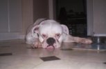 000_0453.jpg