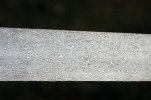 damascus billet birds eye billet 033.jpg
