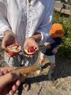 IMG_3974.jpeg