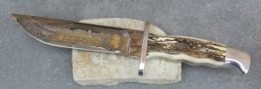124.Colt.Stag.02.jpg