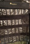 IMG_6286.jpeg