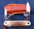 Fox Stag Camp CE226_6.JPG