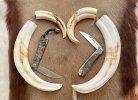 Bladeforums Sunday ~ v low res.jpg