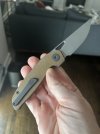IMG_1384.jpeg