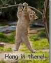 IMG_2638.jpeg